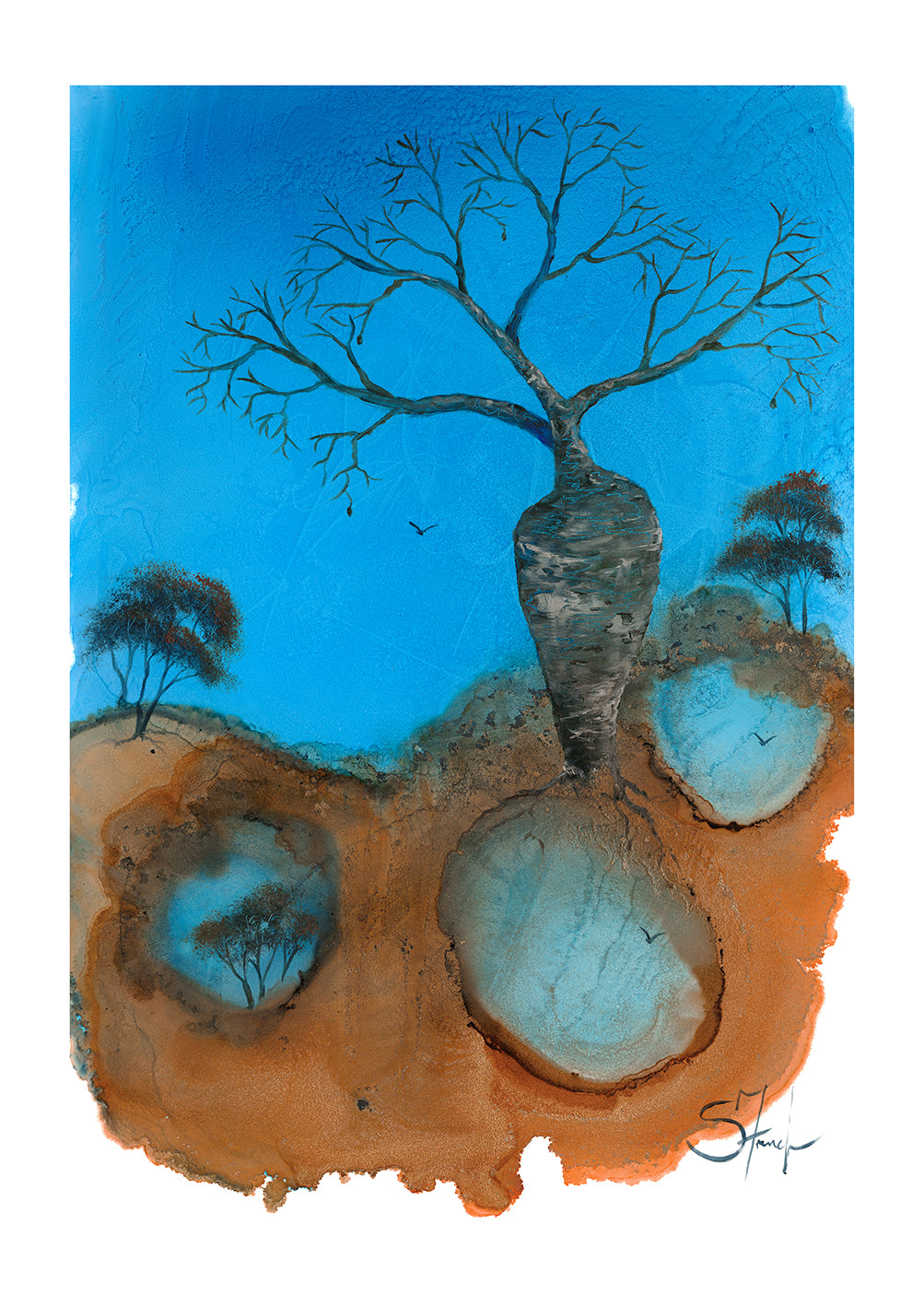 Boab Blue