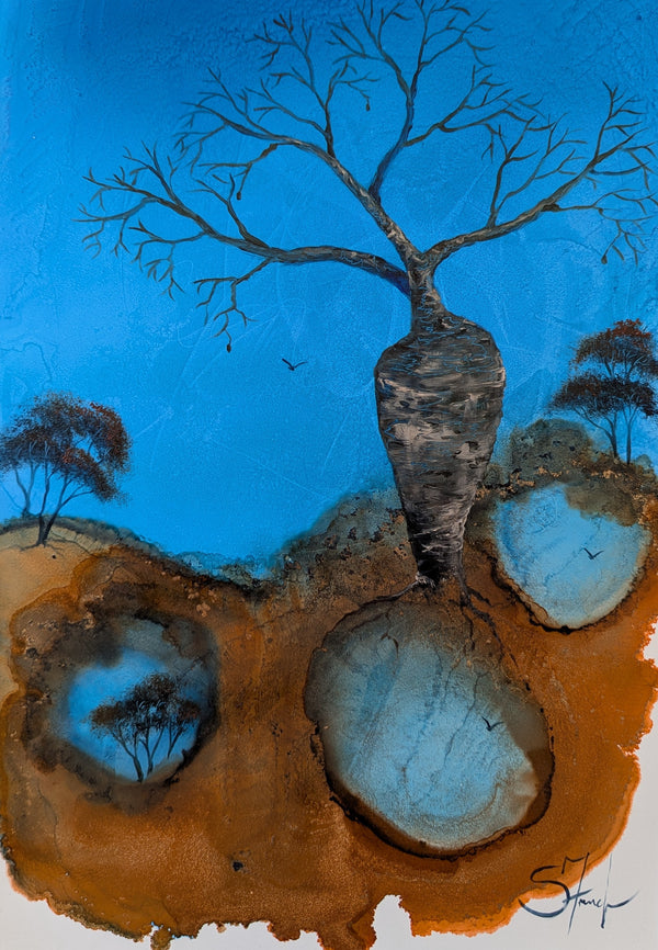 Boab Blue