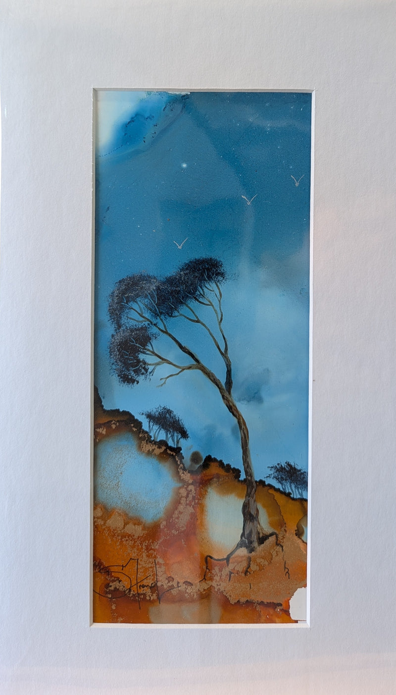 little Tea Tree