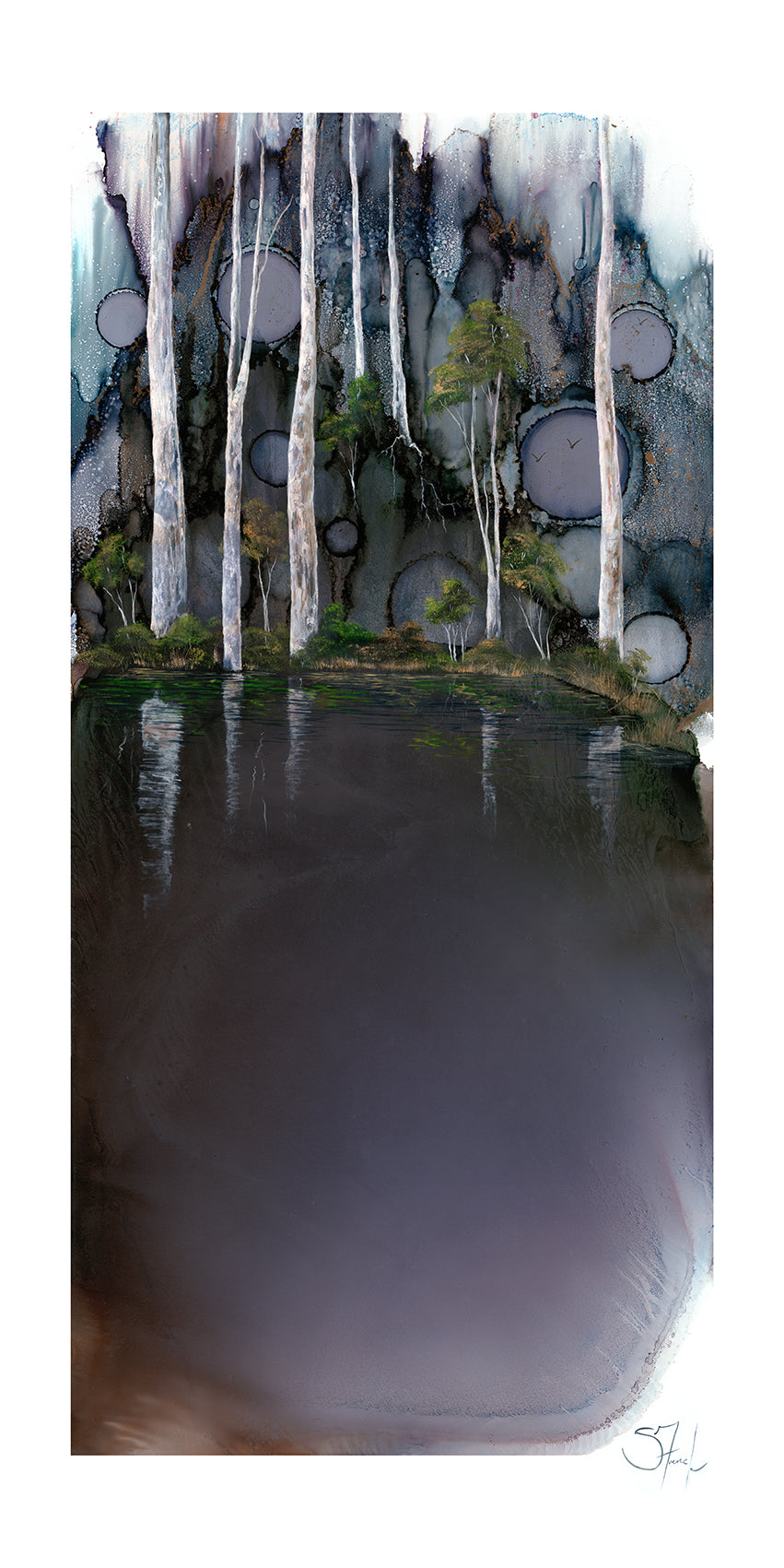 Mystery Forest