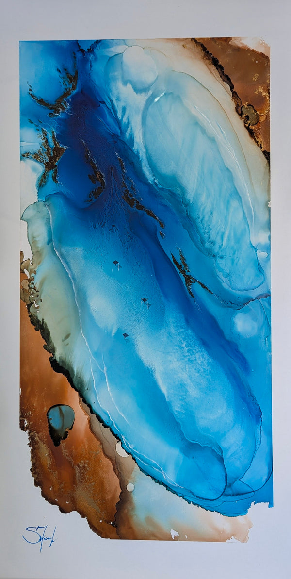 Shallows